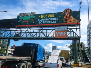 Calzada Aguilar Batres, rumbo al sur
